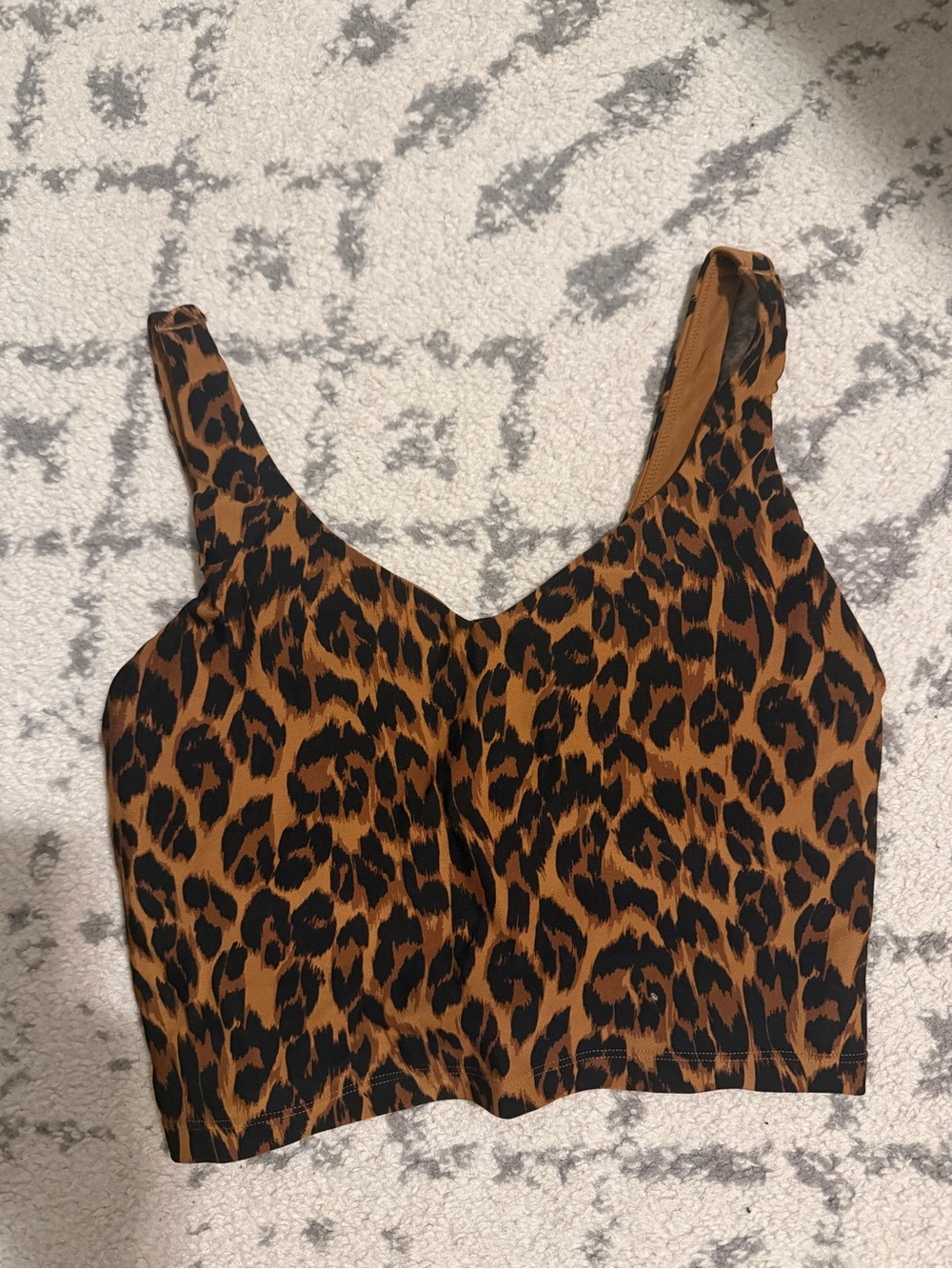 Aerie Long-Lined Leopard Print Sports Bra